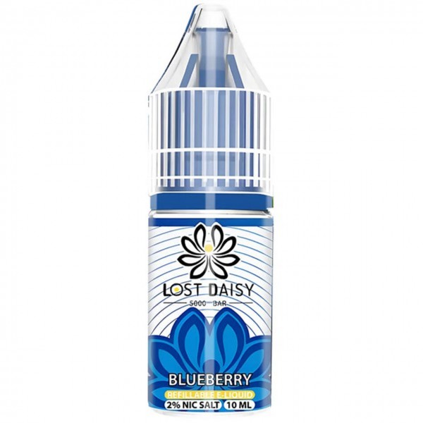 Blueberry Nic Salt E Liquid 10ml by Lost Daisy