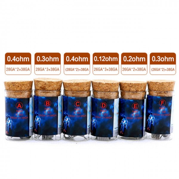 Demon Killer Flame Coils 6 Pcs/Pack