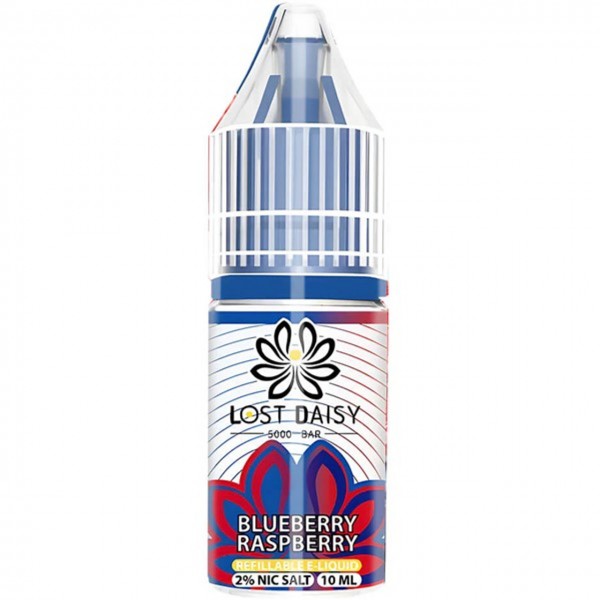 Blueberry Nic Salt E Liquid 10ml By Elf Bar Elfliq