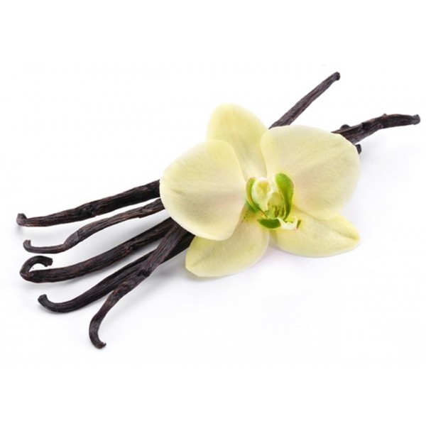 Vanilla E Liquid By Oh My God (OMG)