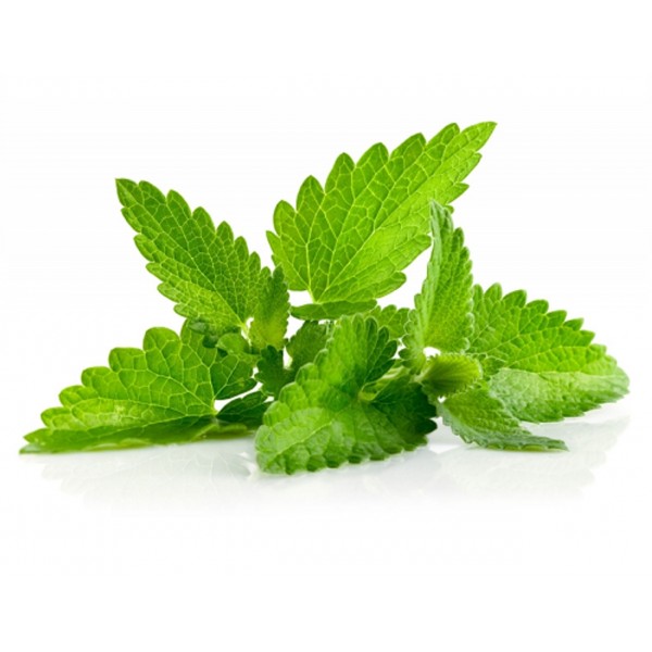 Double Menthol E Liquid By Oh My God (OMG)