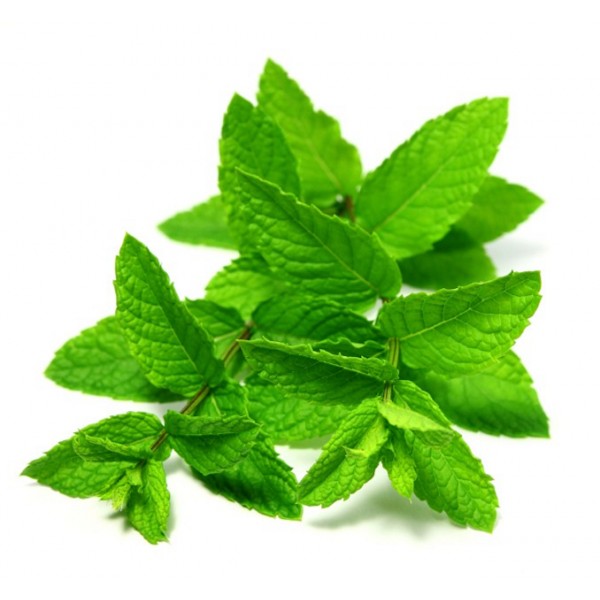 Menthol E Liquid By Oh My God (OMG)